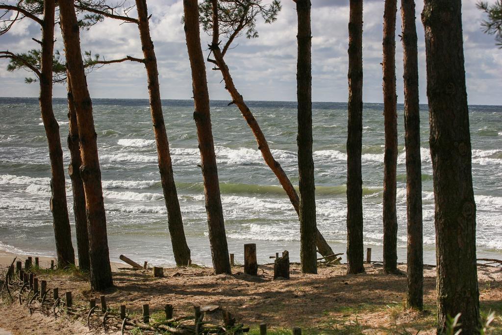 Vila Medus Palanga Exterior photo
